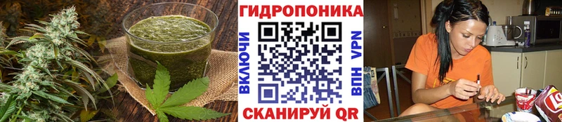 Cannafood конопля  где купить наркоту  Белоозёрский 