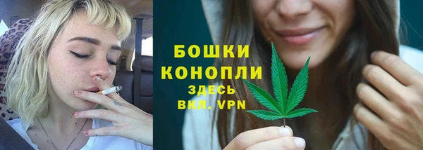 индика Балабаново