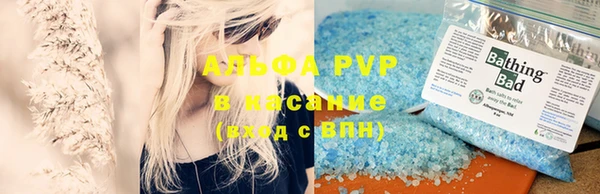 индика Балабаново