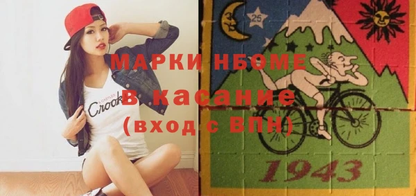 индика Балабаново